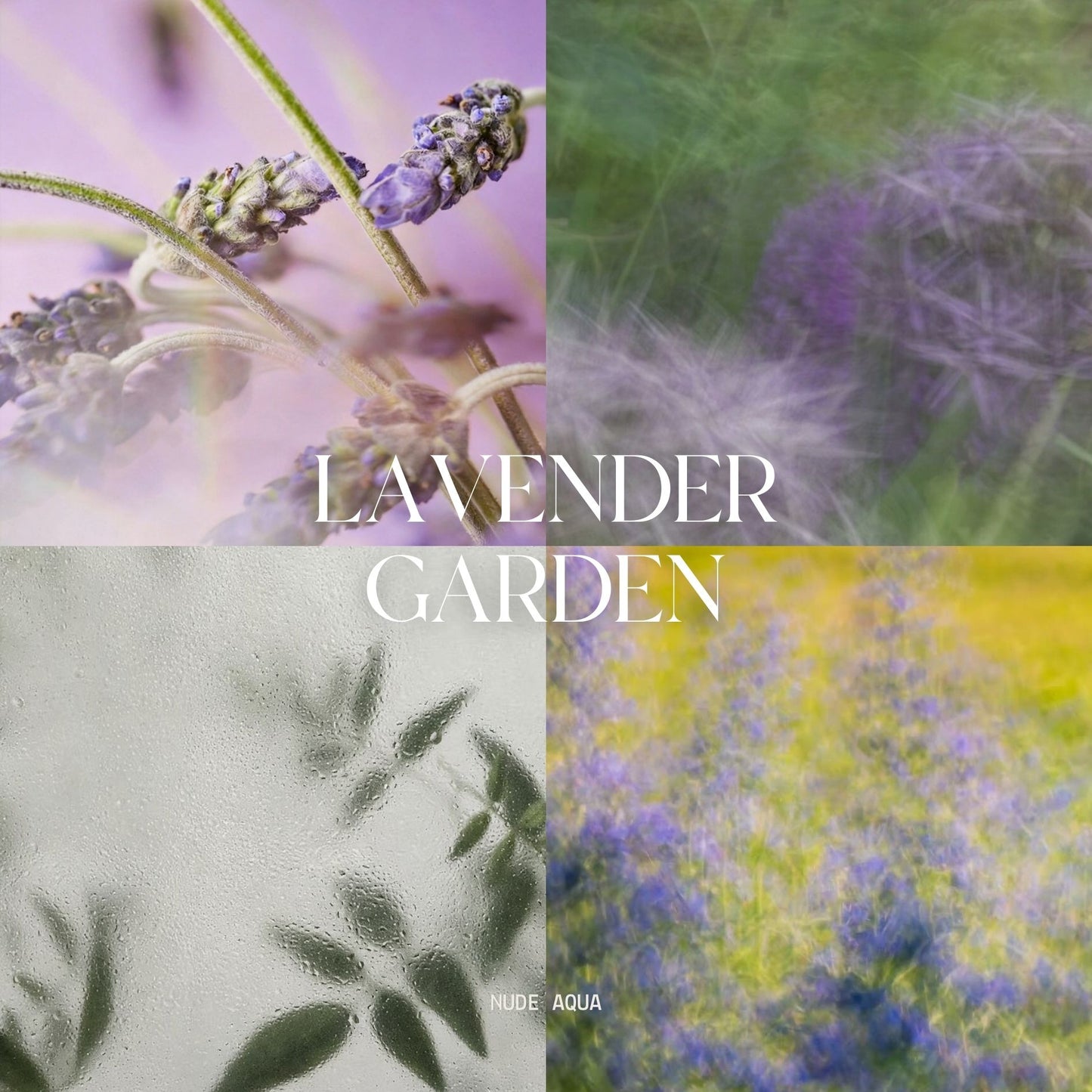 Lavender Garden